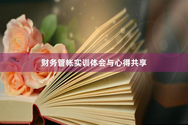 财务管帐实训体会与心得共享