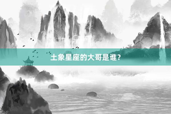 土象星座的大哥是谁？