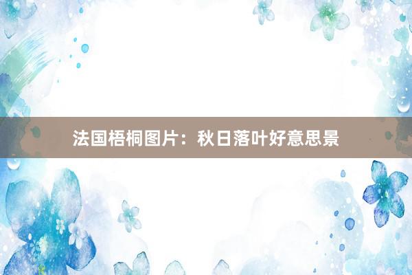 法国梧桐图片：秋日落叶好意思景