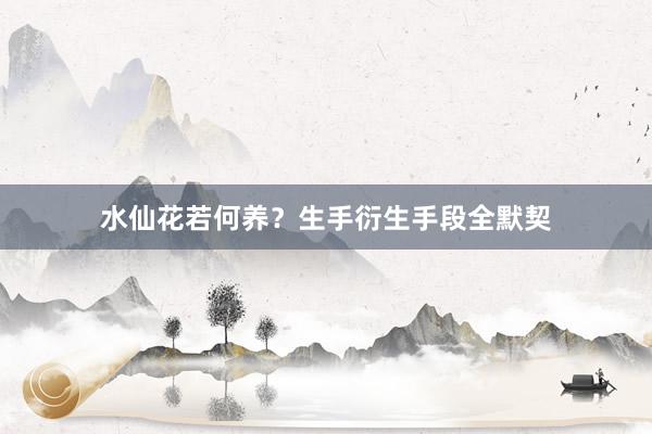 水仙花若何养？生手衍生手段全默契
